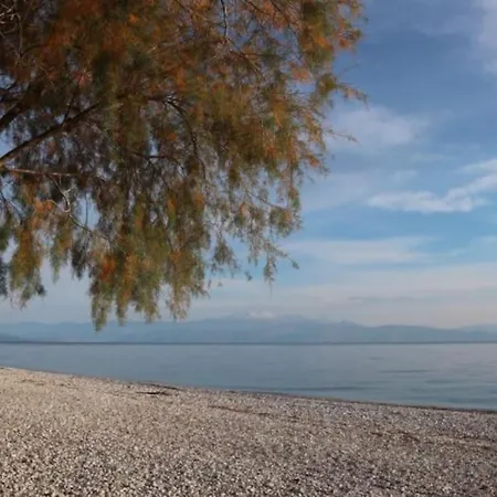 Lägenhet Anestis Akrata