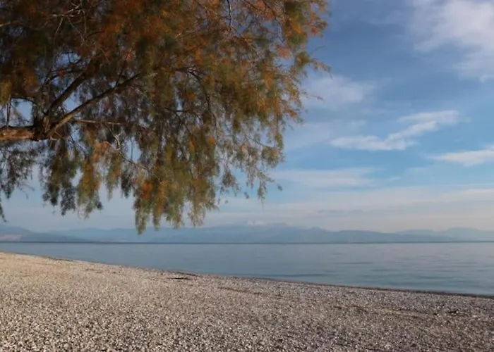 Appartement Anestis Akrata